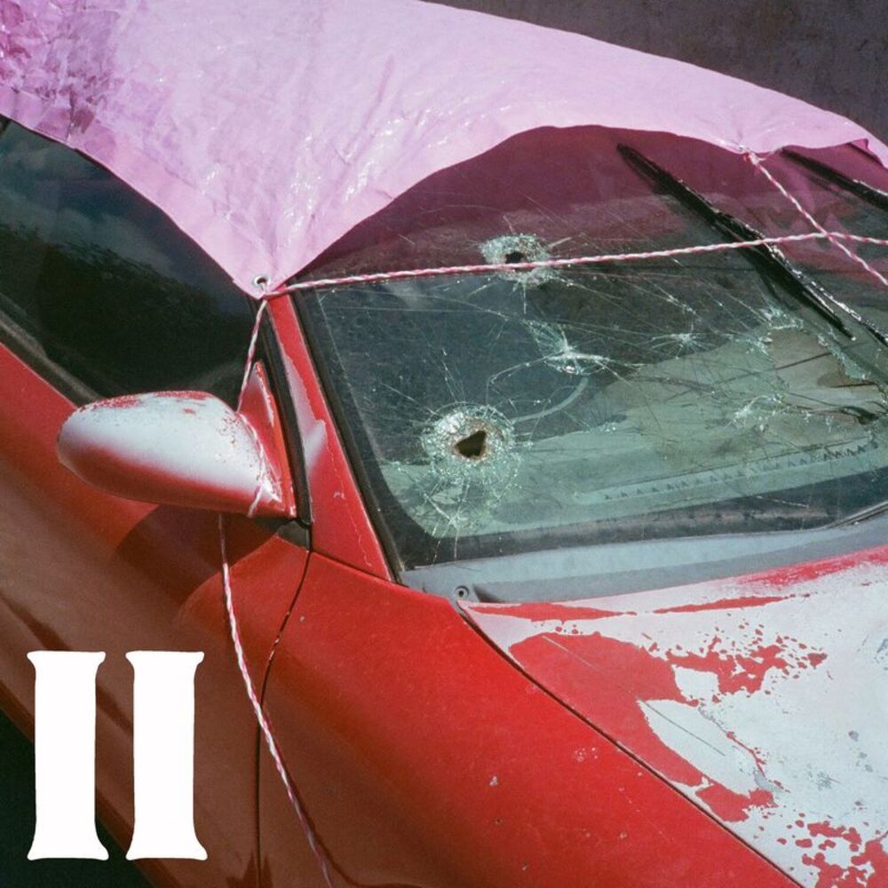 Pure Adult - II LP LP